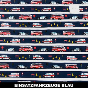 Einsatzfahrzeuge blau