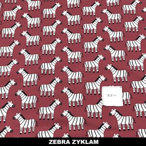 Zebra zyklam