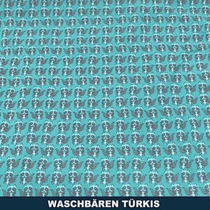 Waschbären türkis