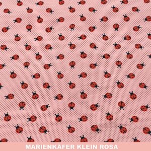 Marienkäfer klein rosa