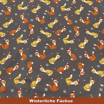 Weihnachtliche Füchse